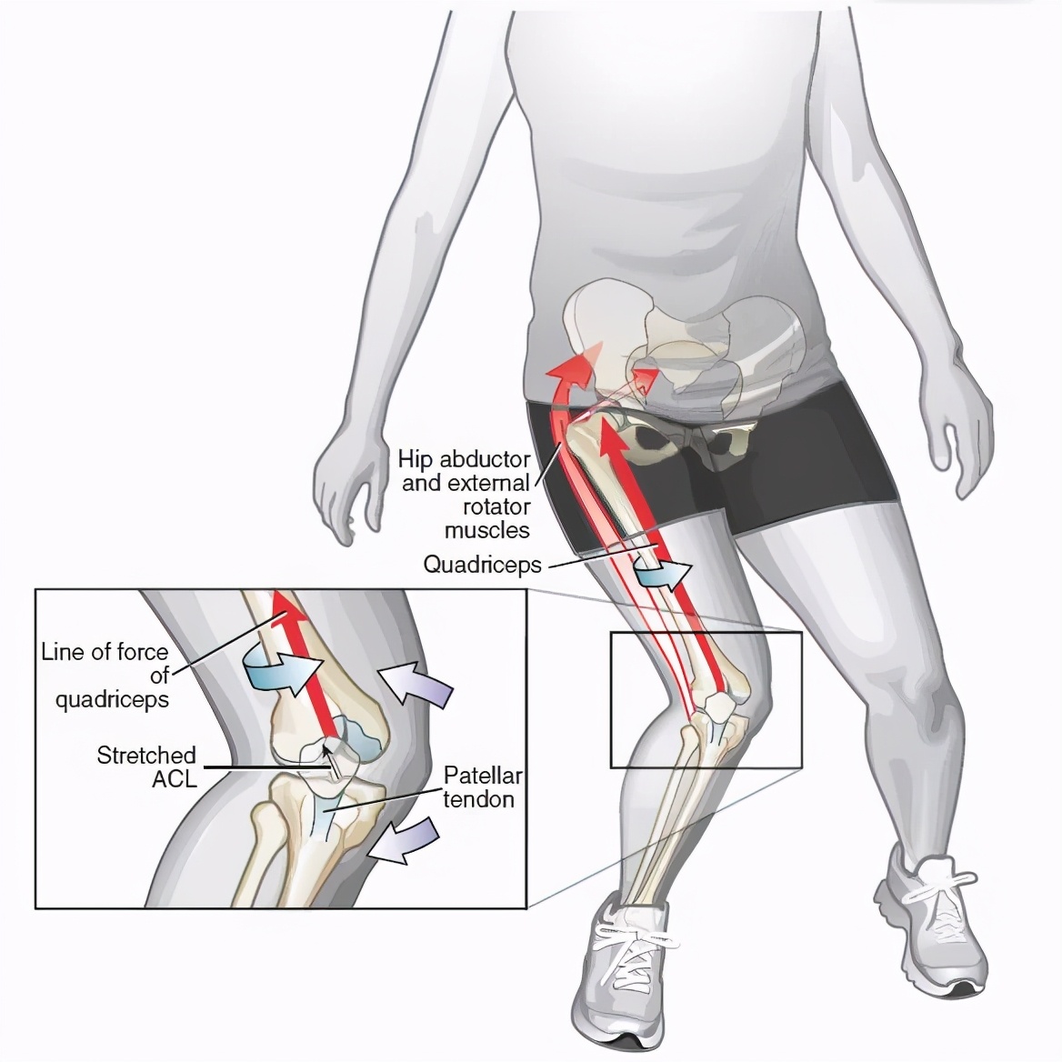 孙怡现实中的腿,孙怡的腿到底直不直
