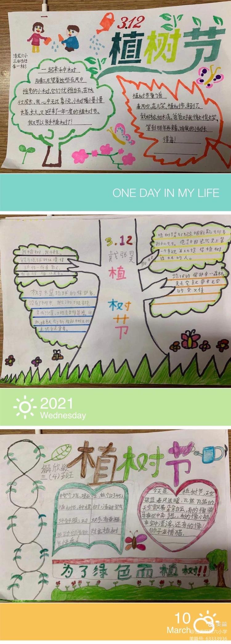 植树节拥抱春天播种绿色放飞希望,2022年植树节主题拥抱春天