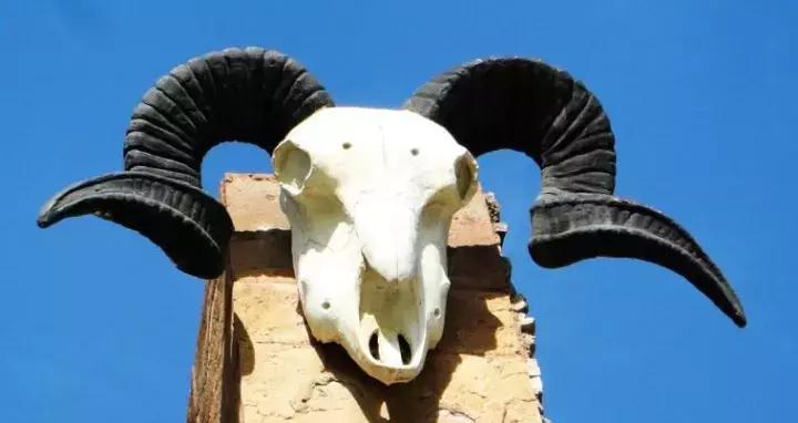 自然环境对人类的起源进化史,人类与环境的发展历史