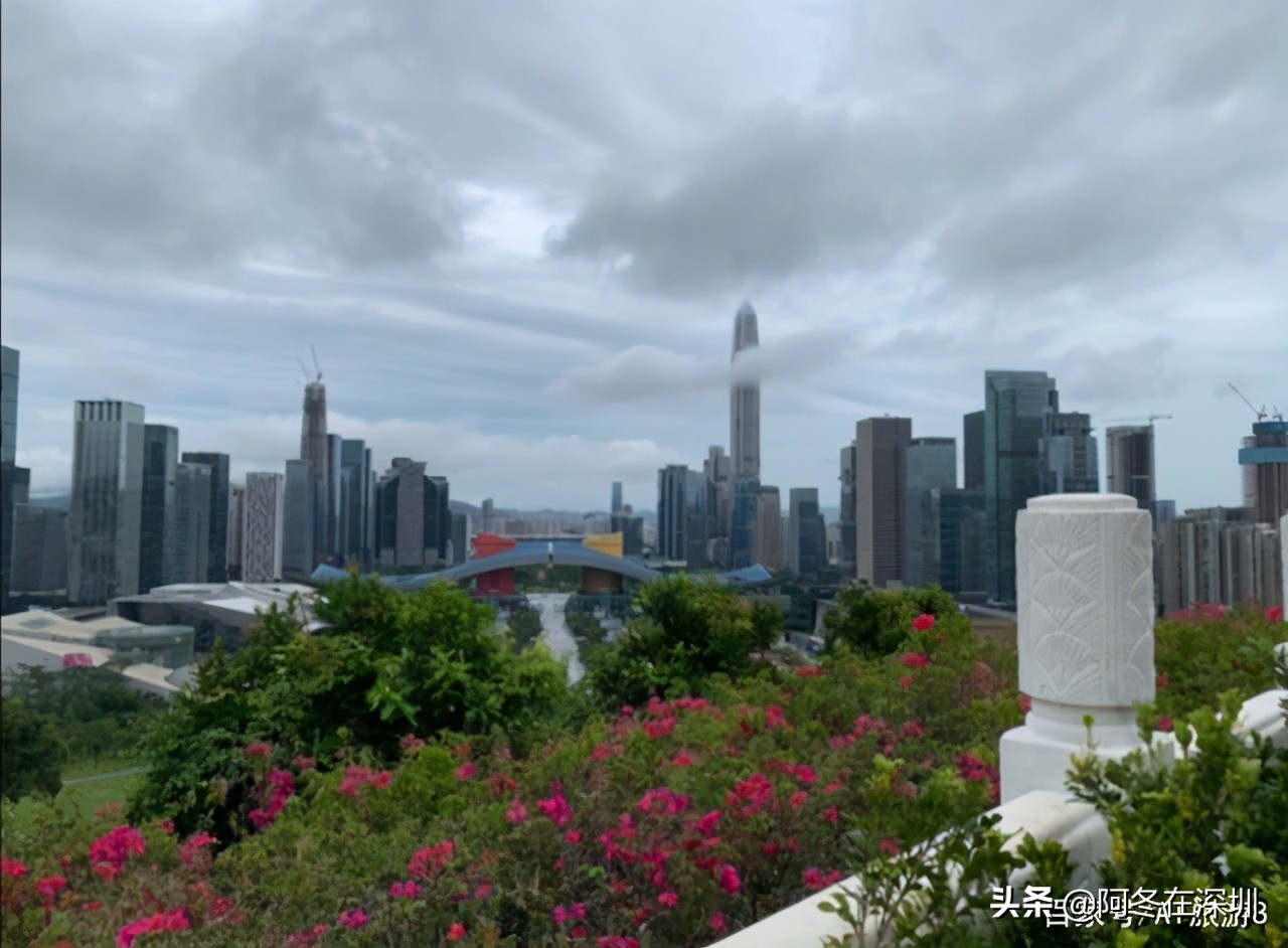 深圳一日游必去的十个免费景点,深圳一日游必去十大网红景点