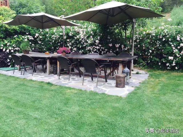 为一姑娘，10年他把30亩荒地打造成梦想家园，让人懂得真爱的意义