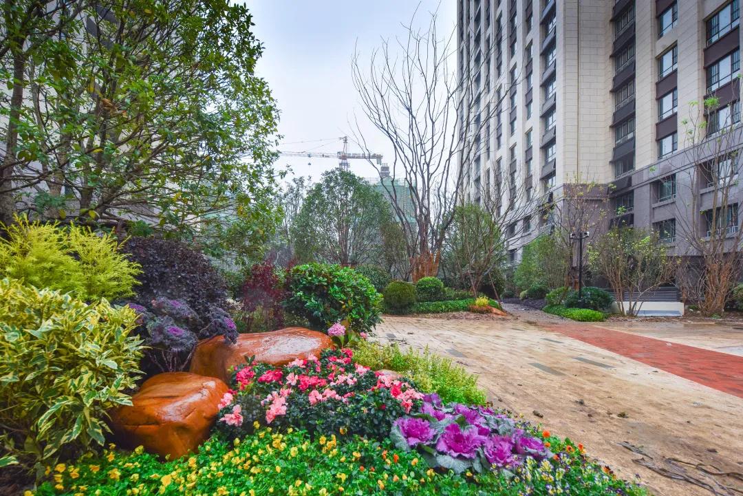 滨湖哪些小区值得买,滨湖已交付小区有哪些