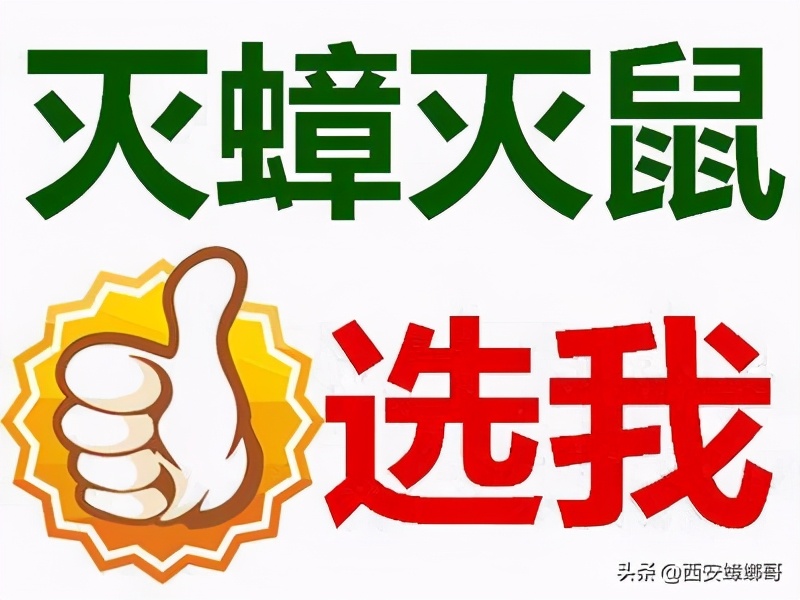 蟑螂被踩死后什么后果,蟑螂直接踩死真的会越来越多吗