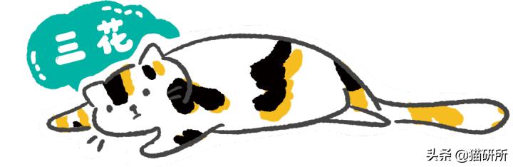 古代人如何称呼不同毛色的猫咪？