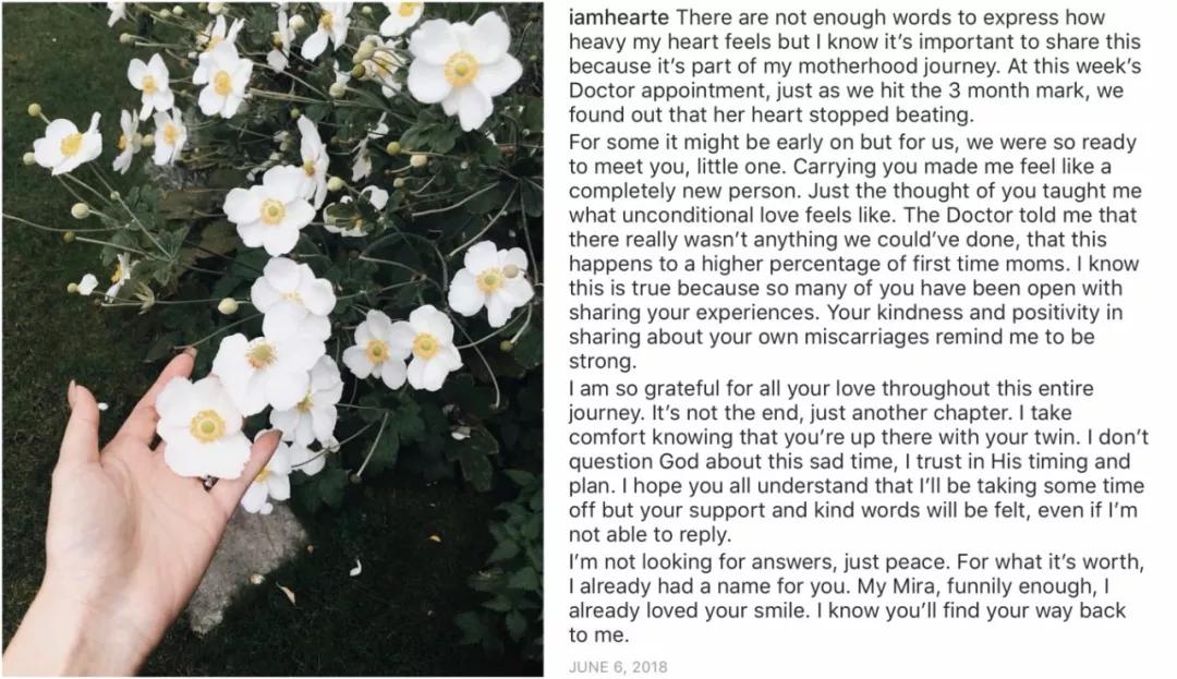 摘金奇缘的女明星,摘金奇缘人物详解