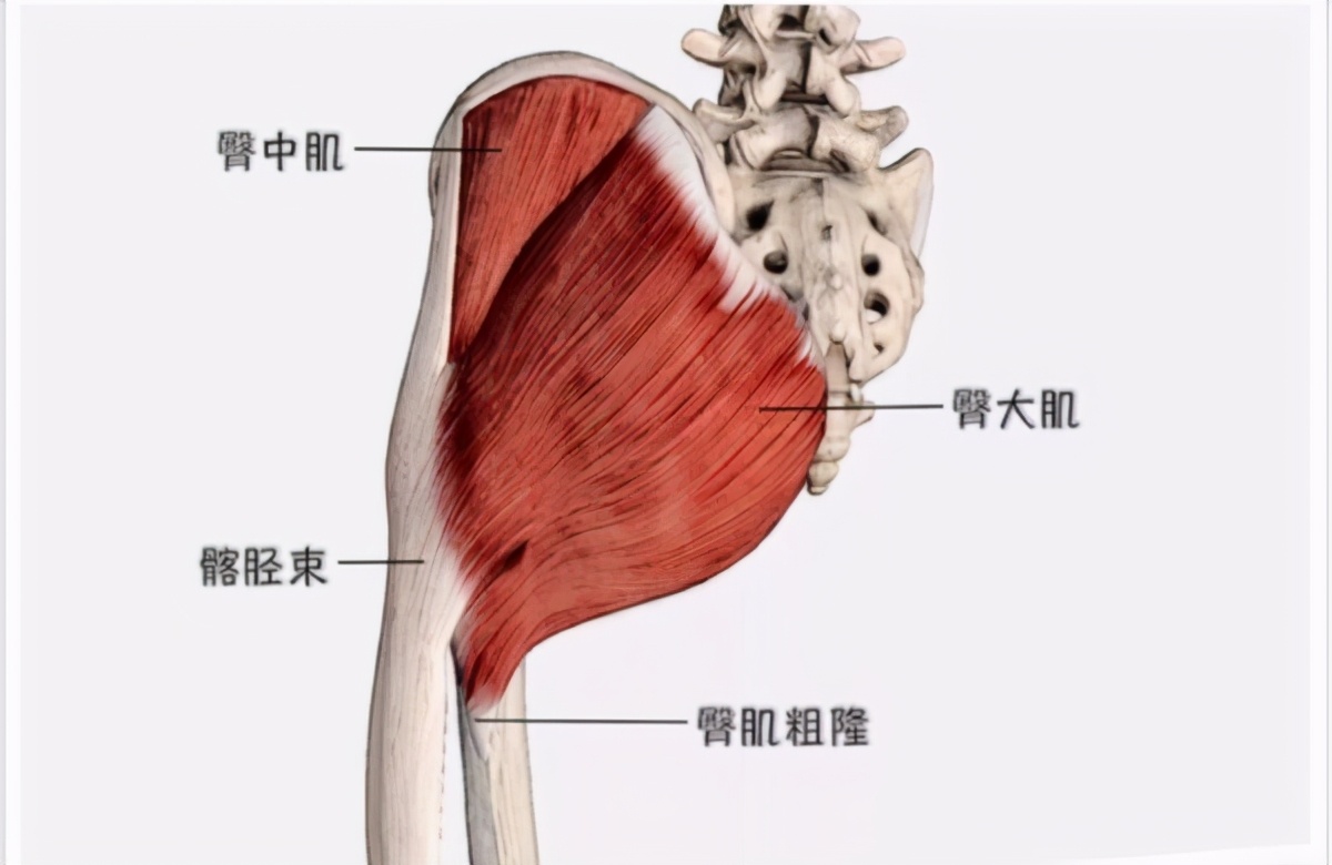 久坐之后感觉腰不舒服怎么缓解,久坐后腰部隐隐作痛