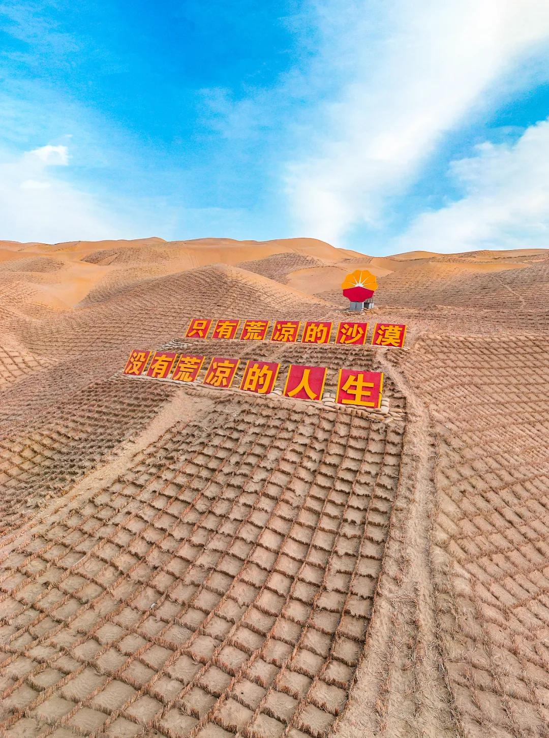 新疆塔里木大沙漠风景,除了沙漠树森林树还有什么