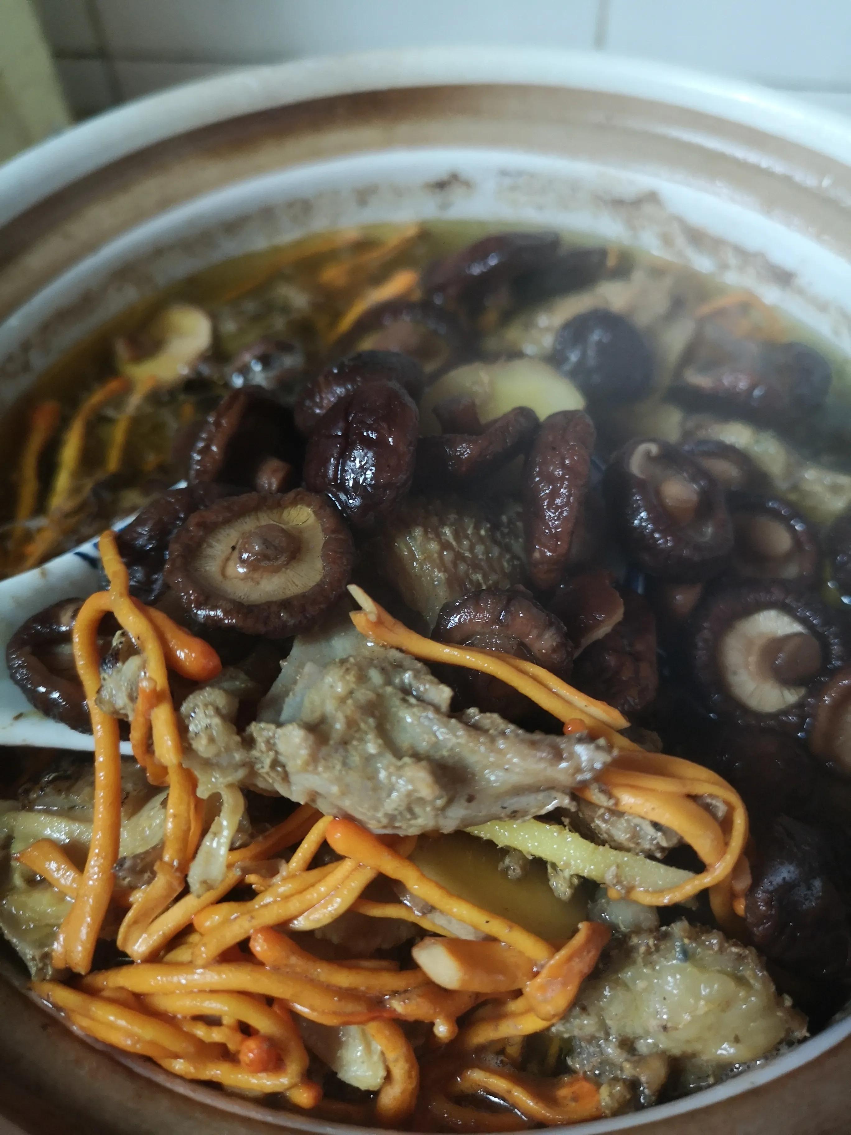 香菇虫草可以和山药一起炖鸡汤吗,秋季滋补虫草菇汤