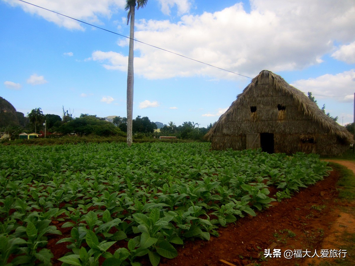 古巴最贵雪茄品牌价格表,最贵的古巴雪茄多少钱一支
