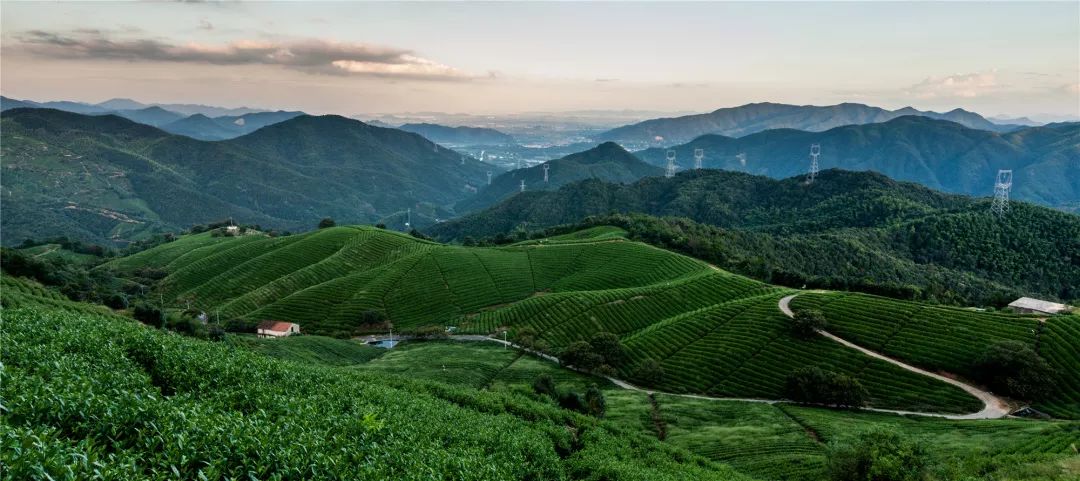 杭州最美绿道,杭州新增最美绿道