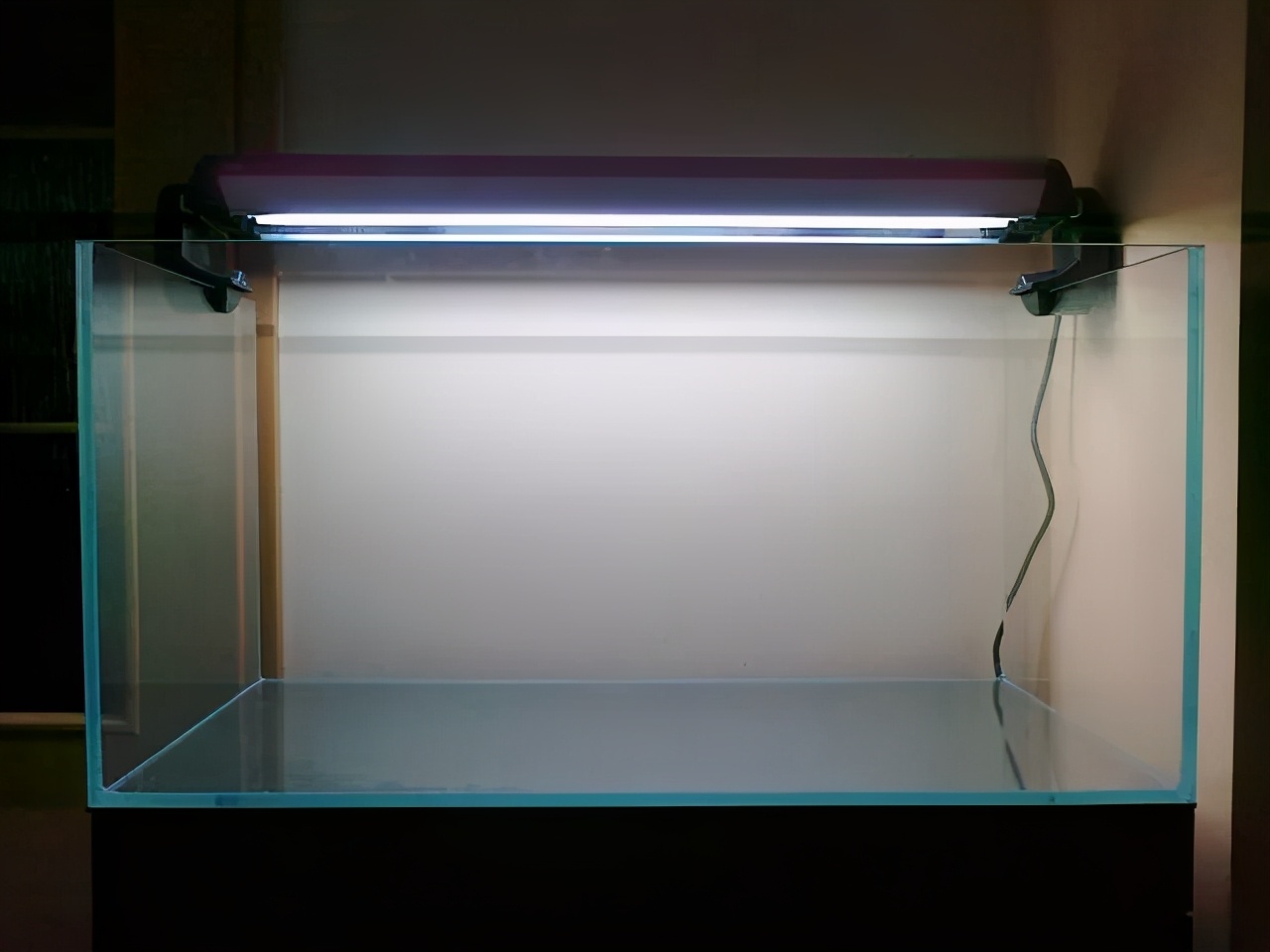 石上的迷你矮+血红宫廷,美的让人心醉