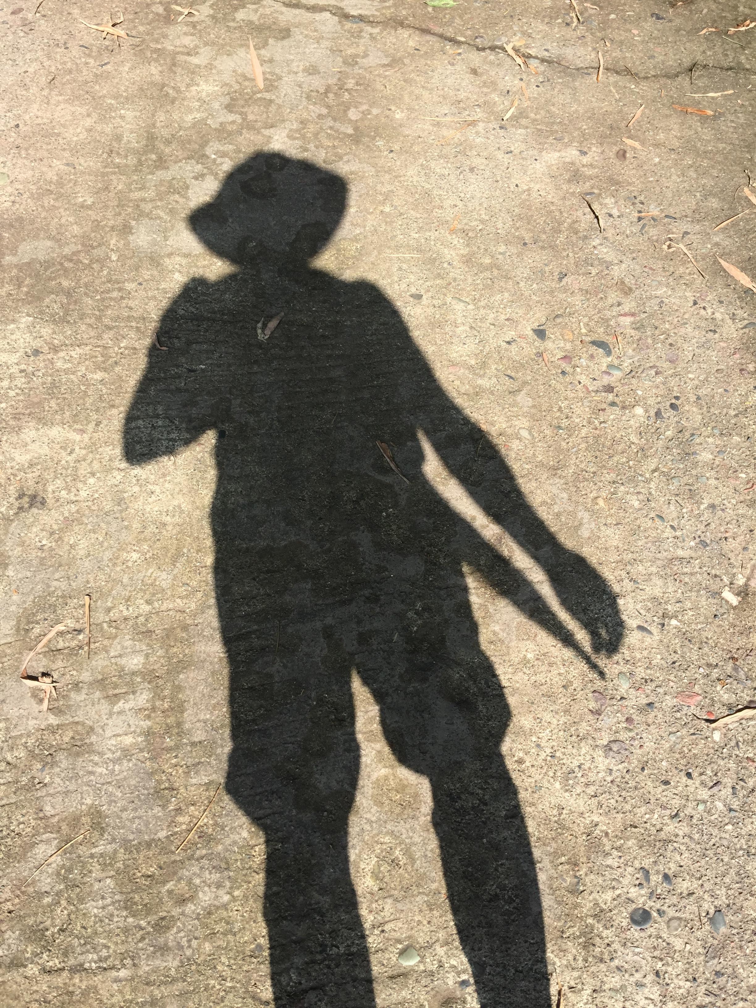 峨眉山登顶佛像,峨眉山登顶记完整版