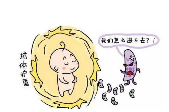 提高儿童免疫力食物食谱大全,儿童提高抵抗力吃什么食物最好