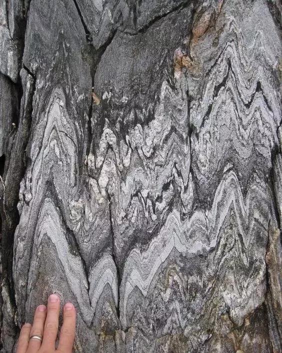 大自然的奇迹,大自然的奇迹鬼斧神工