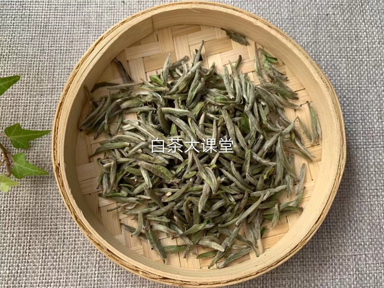 白茶要如何泡茶好喝又简单,泡茶的正确方法和泡白茶步骤视频