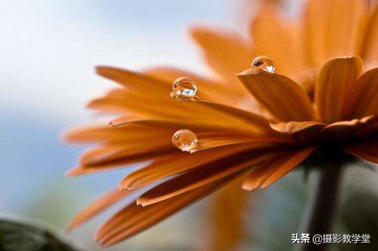 关于摄影的基础知识景深,摄影基础知识入门光圈