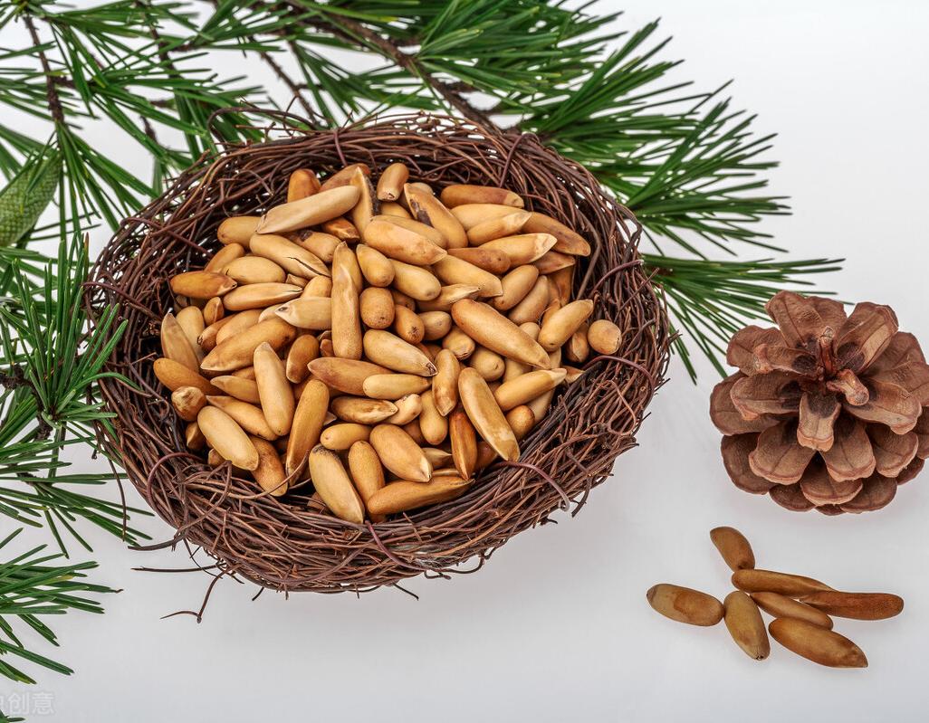 巴西松子为什么不是巴西产的,巴西松子为什么叫巴西松子