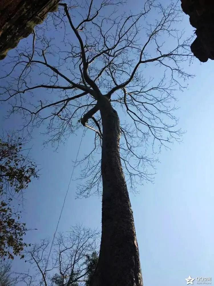 越南柬埔寨吴哥窟,越南越美2016