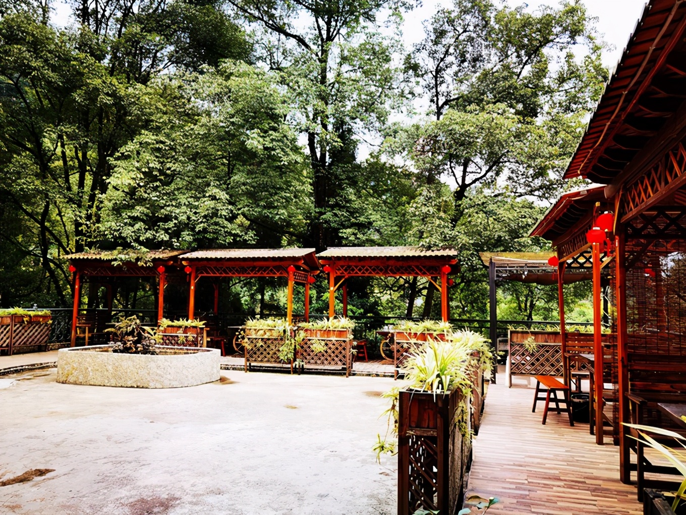 深秋峨眉风光好——「清音阁/金顶/红珠山温泉」三日行