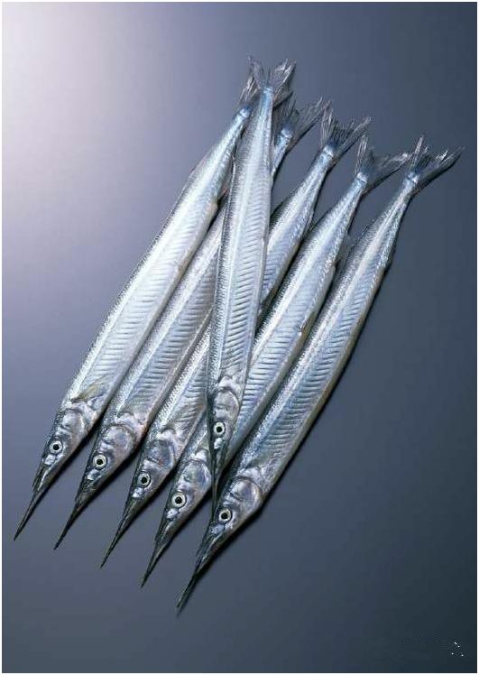 看图识海鲜，这些水产海鲜你都认识吗？