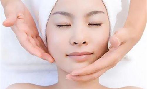 合格的宠物b级美容师的要求,美容学徒如何成为一个合格美容师