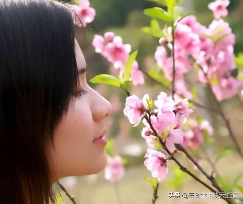 崔护名垂青史的一首诗,崔护人面桃花诗粤语