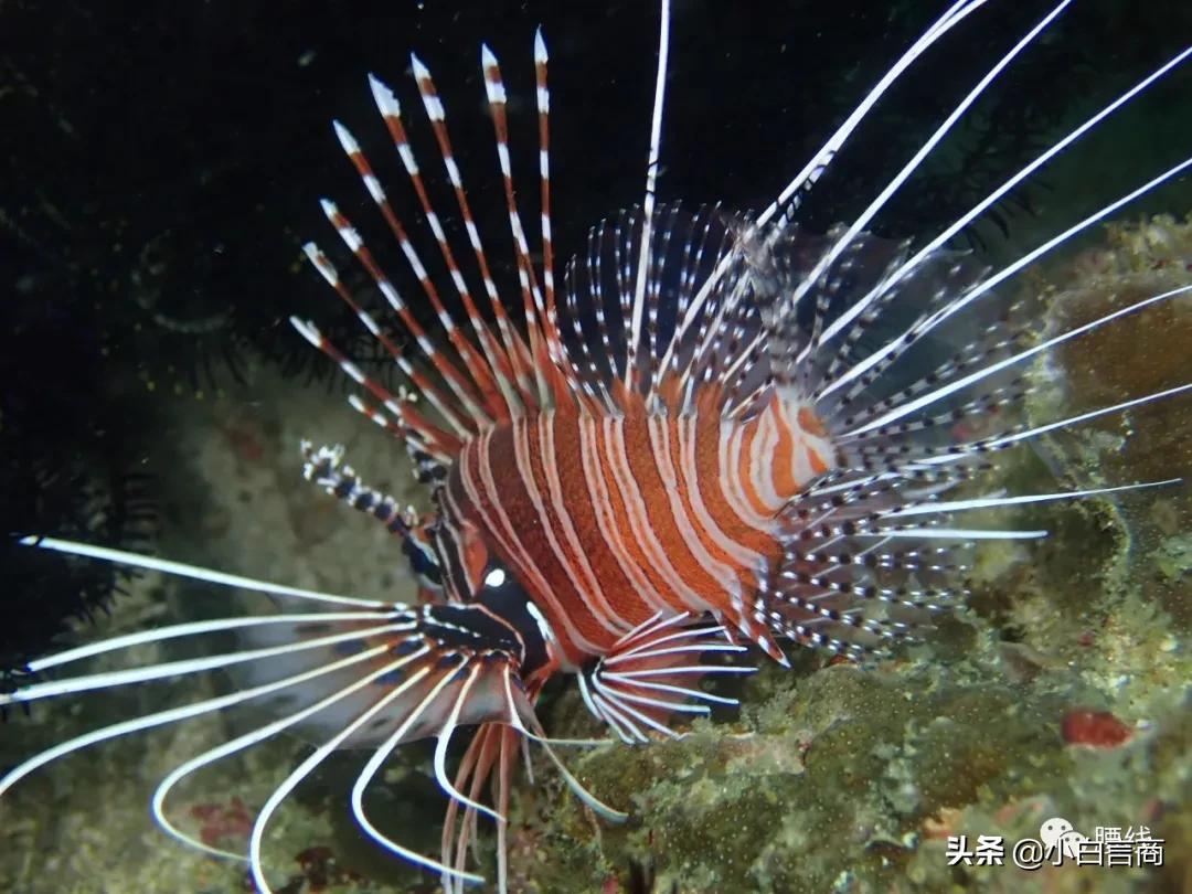 在腾讯工作10年,在腾讯工作3年