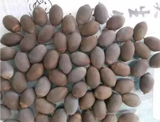 2元的盘珠手串,莲子手串怎么盘