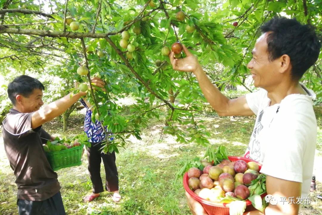 骞充箰澶ч噷鏉戝濂充富浠诲崲鐕曡姵,妗傛灄甯傚崲鐕曡姵