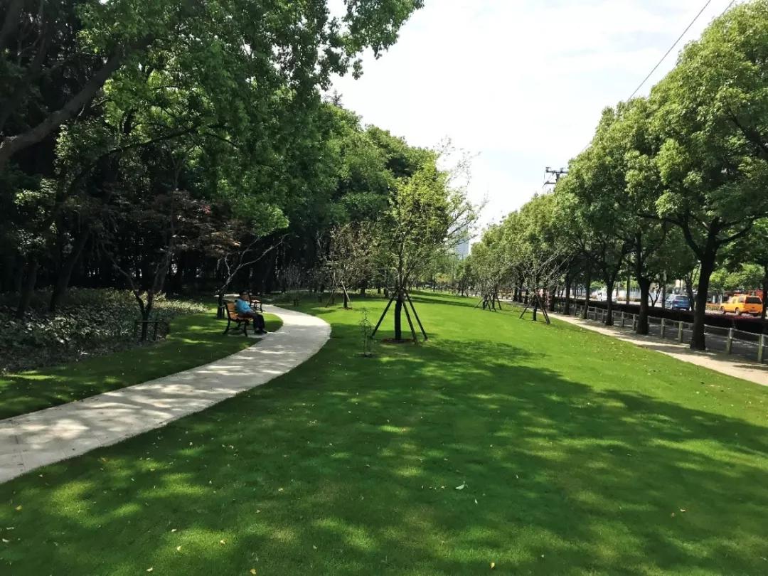 松江国际生态商务区地标,松江国际生态公园