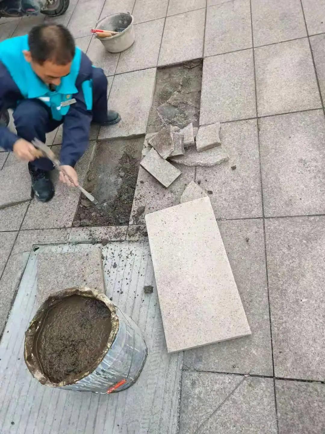 碧桂园服务福建区域,碧桂园守护您的家