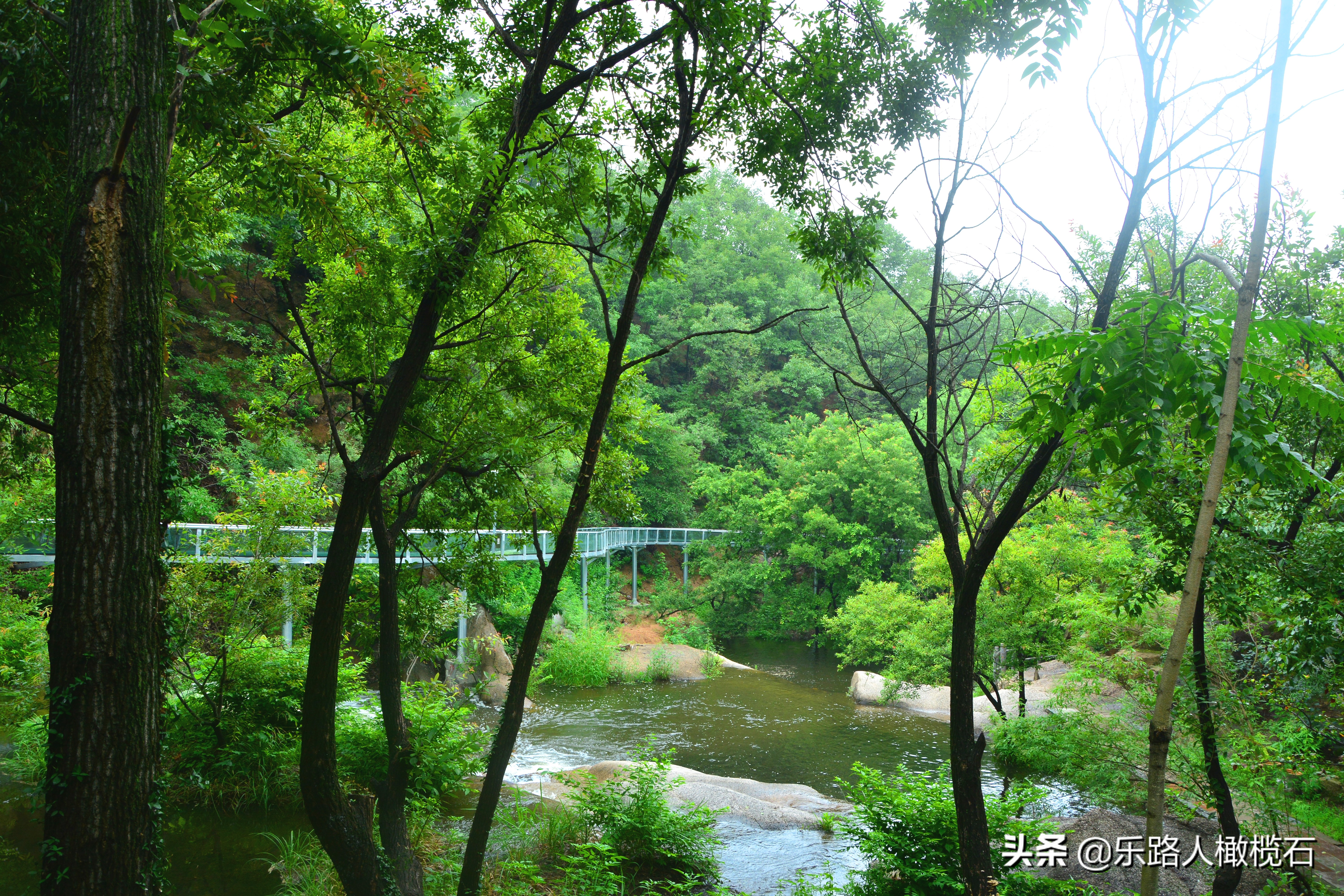 平顶山画眉谷旅游,河南鲁山免费景点