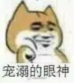 20200202！星期日！青岛民政局上班