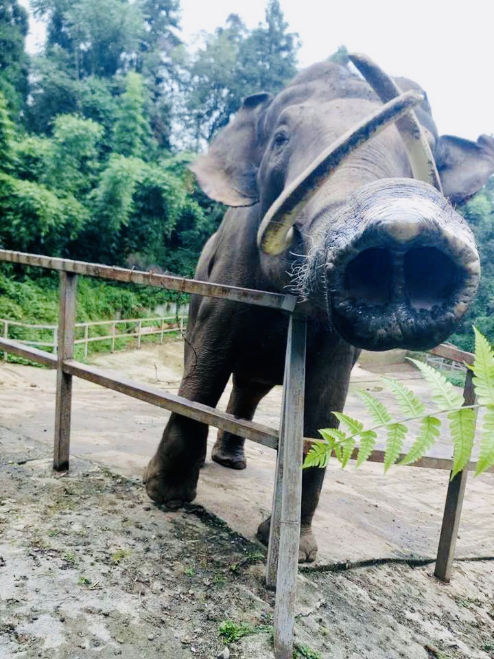 朵拉爱萌全部视频,朵拉爱萌3岁