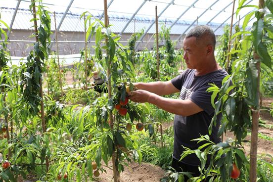 五一长假去哪里旅游推荐,五一小长假旅游指南