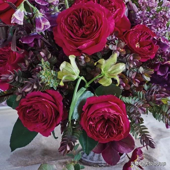 520你最想收到什么玫瑰,520这样的玫瑰你们喜欢吗