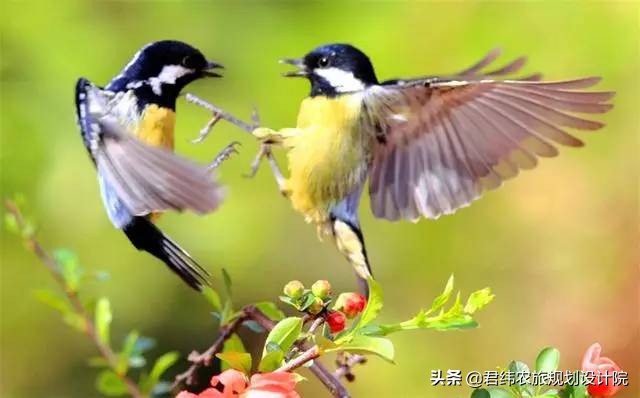 2021年7月南宁花雨湖休闲旅游景区,南宁花雨湖