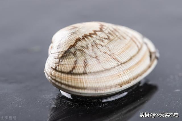 花蛤吐沙放香油是真的吗,花蛤怎么吐沙干净放香油