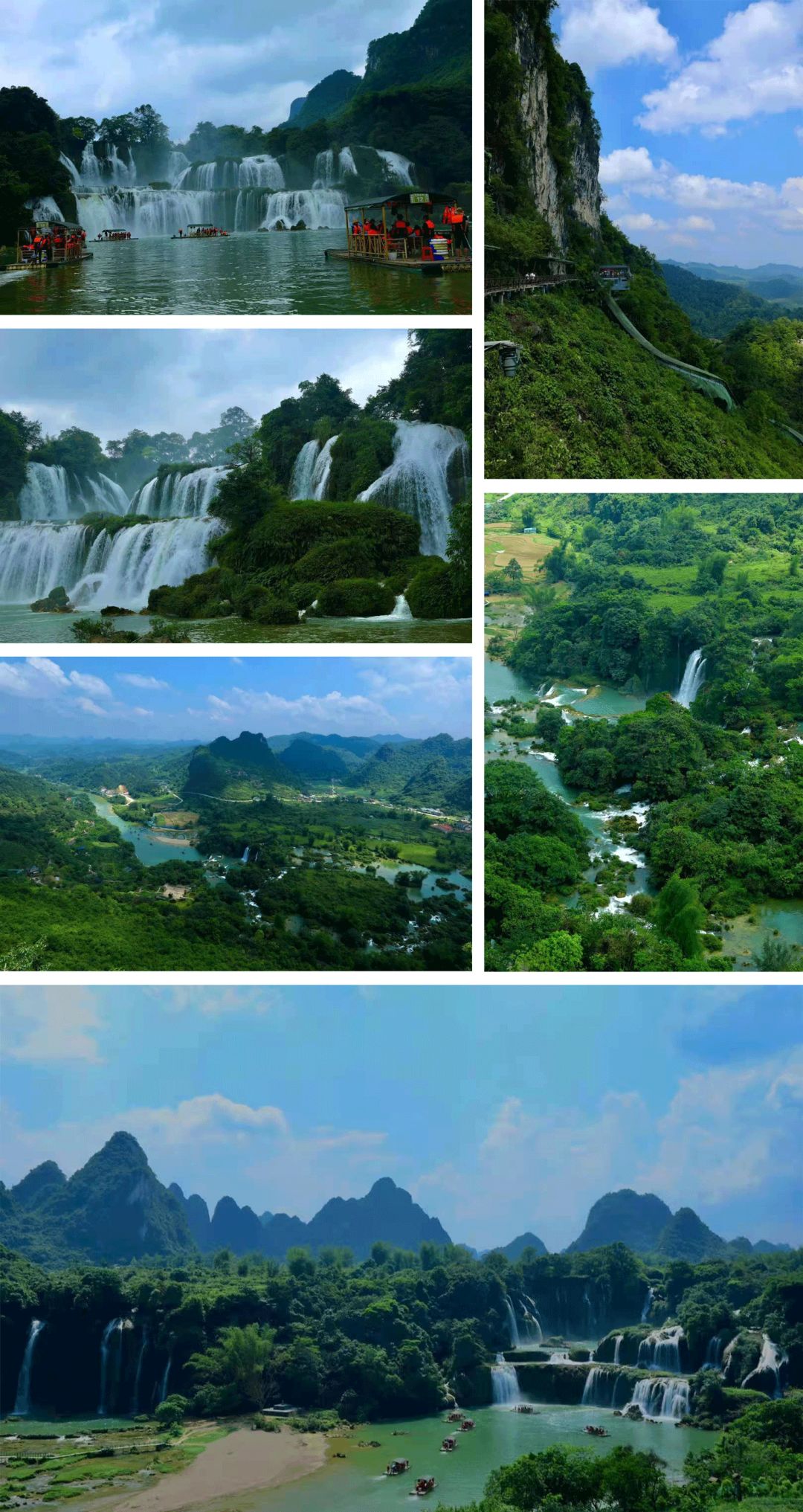 绿城叙话，明亚绽放保险力量之花