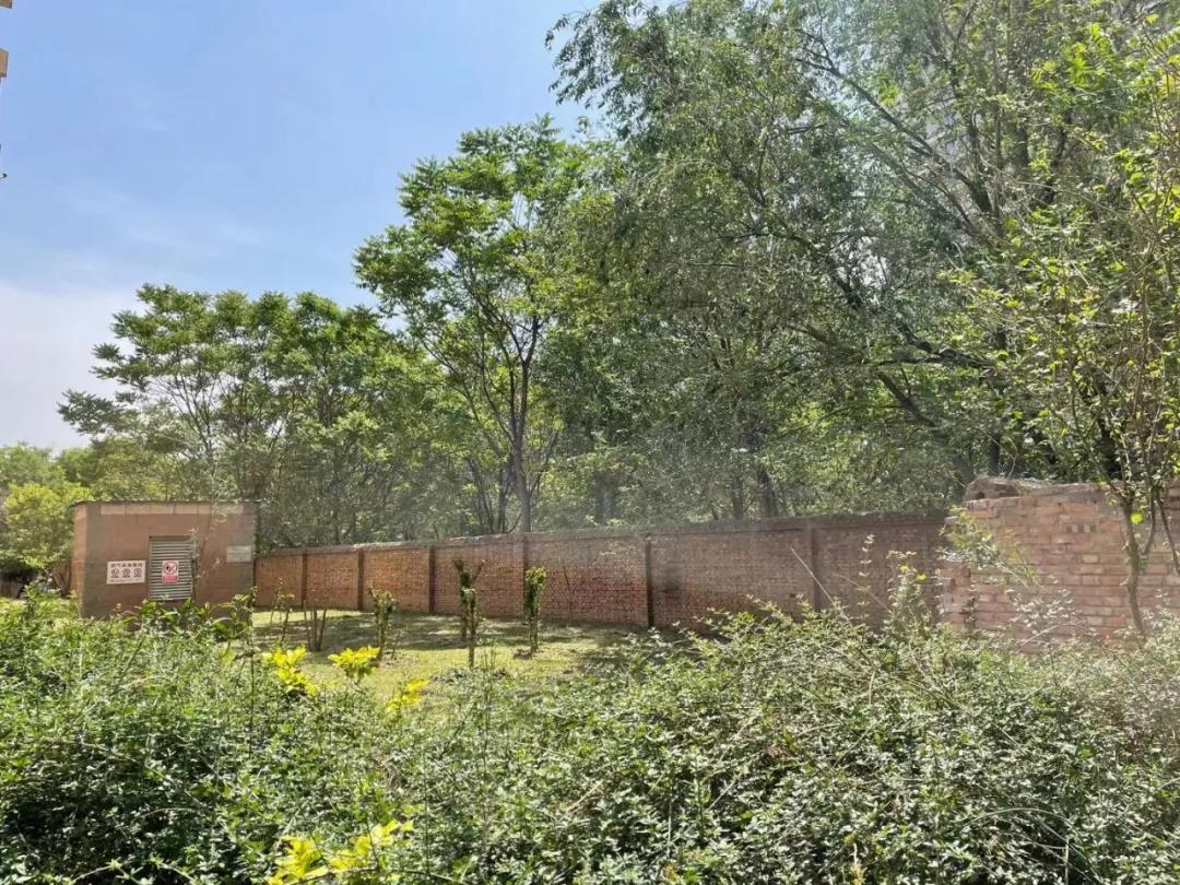 明明有停车位却停不了车,北京小区地库停车