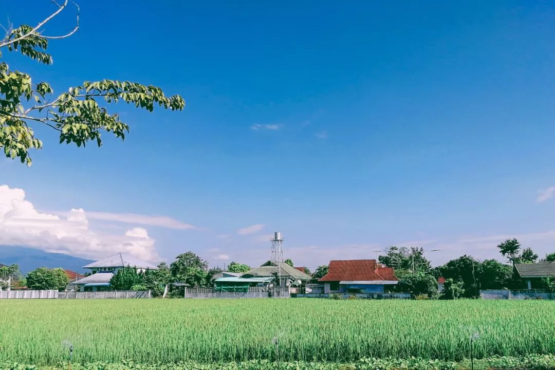 清迈的现状,清迈重逢