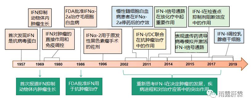 干扰素对肿瘤细胞的影响,i型干扰素活化t细胞