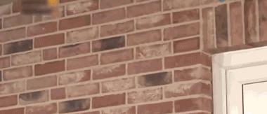 哪些好用到哭的德国货,德国东西为什么质量好