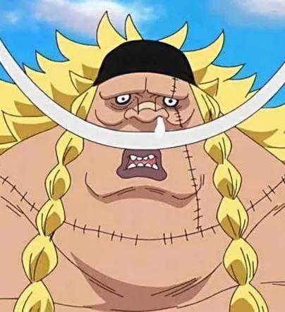 海贼王机械甲,海贼王里特殊的武器