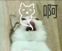 妮维雅q10面霜lamer,lamer面霜简装和精装有什么区别