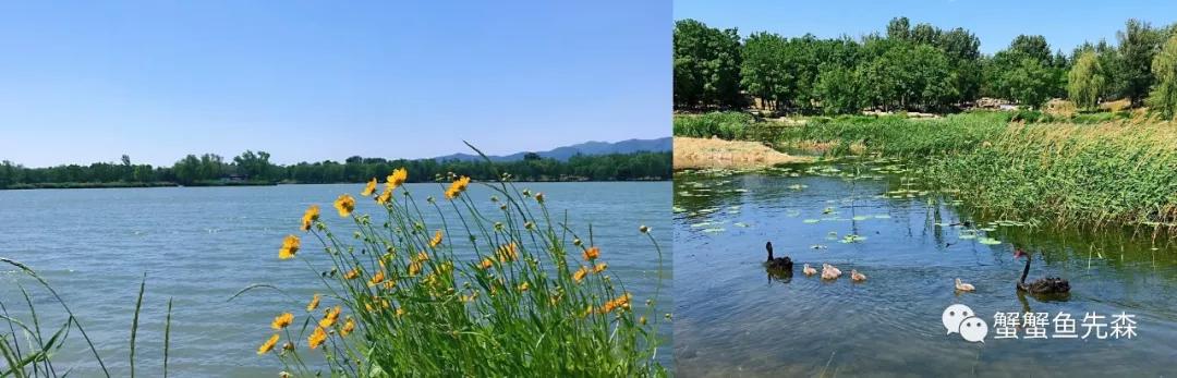 承德到大草原自驾游攻略,北京出发热阿线达达线自驾游攻略