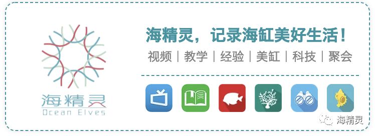 中国海水圈到底存在多少“奸商”？