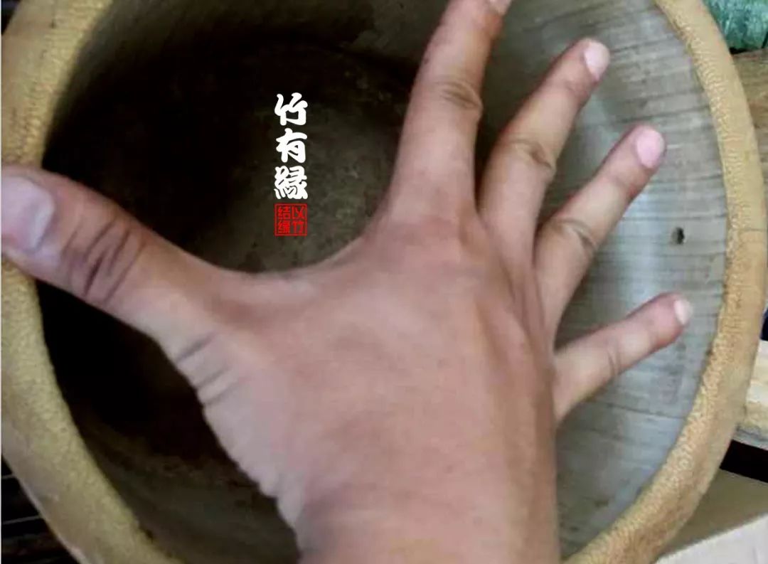 巨龙竹种多久成材,养龙竹风水