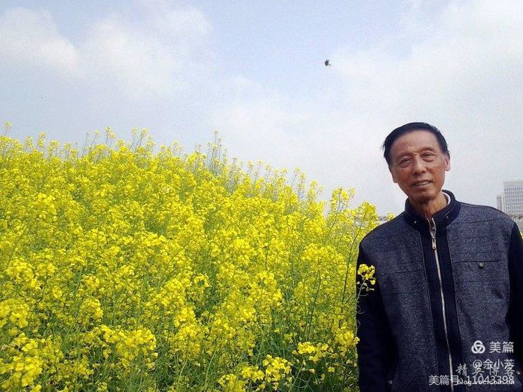 梦中的油菜花田,梦中的油菜花完整版