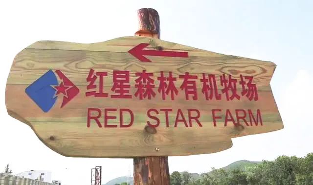 郑俊怀红星乳业现状,郑俊怀创办红星乳业